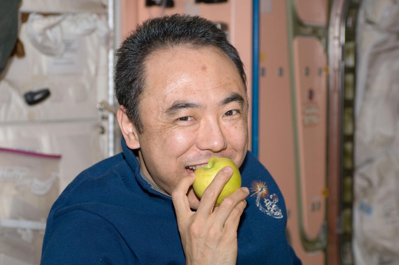 ISS029-E-037421 (2 Nov. 2011) --- Japan Aerospace Exploration Agency astronaut Satoshi Furukawa, Expedition 29 flight engineer, enjoys eating a fresh apple in the Unity node of the International Space Station.