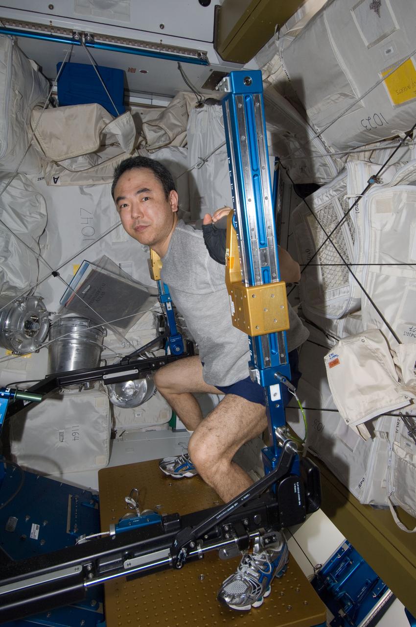 ISS029-E-039869 (5 Nov. 2011) --- Japan Aerospace Exploration Agency astronaut Satoshi Furukawa, Expedition 29 flight engineer, exercises using the advanced Resistive Exercise Device (aRED) in the Tranquility node of the International Space Station.