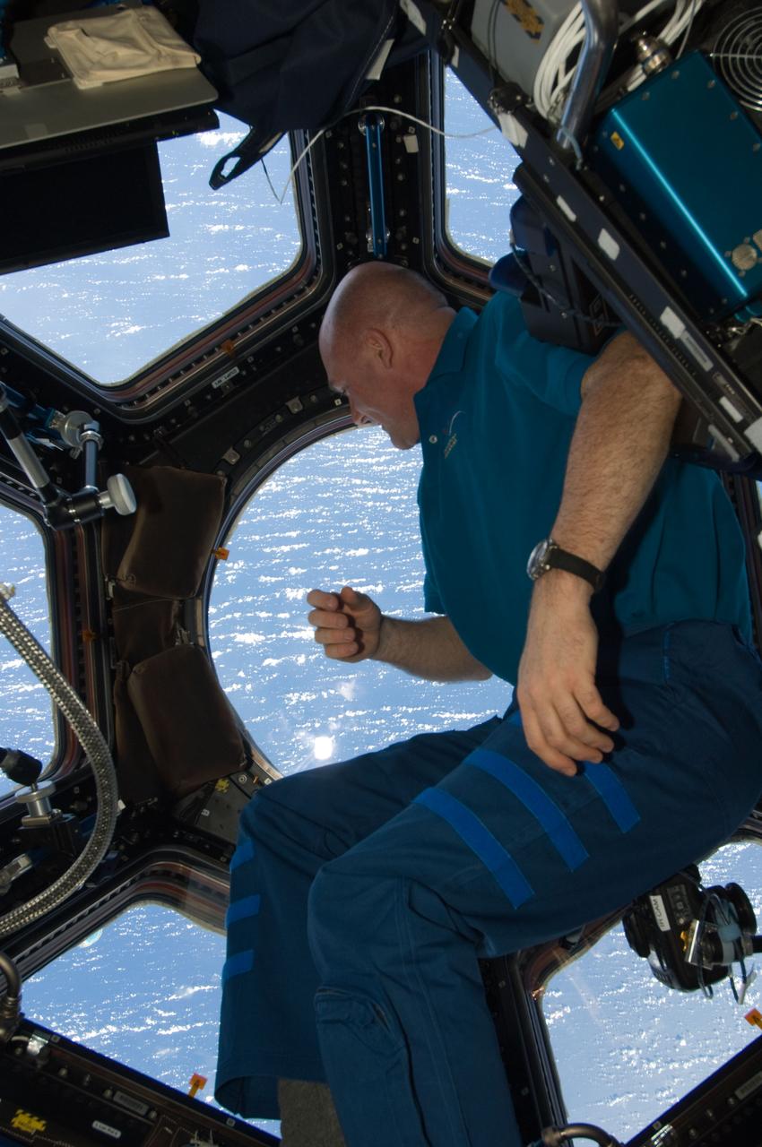 ISS030-E-032243 (2 Jan. 2012) --- European Space Agency astronaut Andre Kuipers, Expedition 30 flight engineer, enjoys the view of Earth from the windows in the Cupola of the International Space Station.