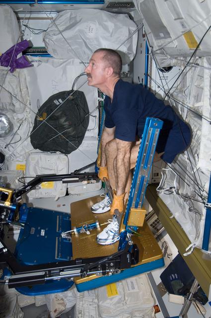 NASA image: Burbank exercises on the ARED in the Node 3