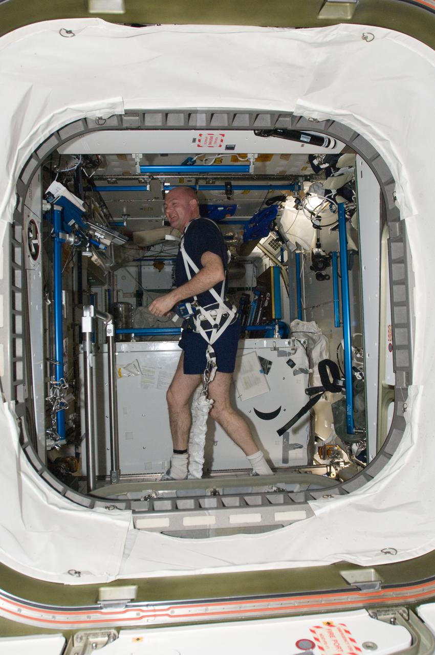 ISS030-E-049576 (18 Jan. 2012) --- European Space Agency astronaut Andre Kuipers, Expedition 30 flight engineer, equipped with a bungee harness, exercises on the Combined Operational Load Bearing External Resistance Treadmill (COLBERT) in the Tranquility node of the International Space Station.