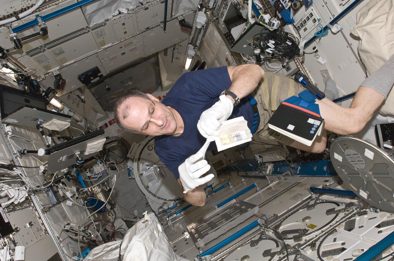 ISS030-E-050864 (26 Jan. 2012) --- NASA astronaut Don Pettit, Expedition 30 flight engineer, prepares to insert biological samples in the Minus Eighty Laboratory Freezer for ISS (MELFI-1) in the Kibo laboratory of the International Space Station.