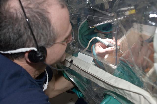 NASA image: Pettit works on a SPHERES in the Portable Glovebox in the U.S. Laboratory