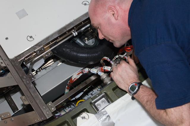 NASA image: Kuipers installs and routes RCS Video Cables in the U.S. Laboratory