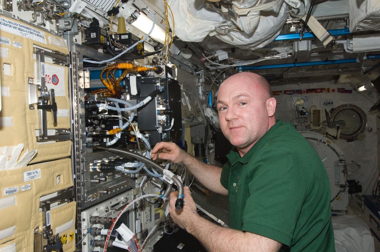 ISS030-E-142784 (15 March 2012) --- European Space Agency astronaut Andre Kuipers, Expedition 30 flight engineer, works to remove the Marangoni Surface fluid physics experiment from the Fluid Physics Experiment Facility (FPEF) in the Kibo laboratory of the International Space Station.