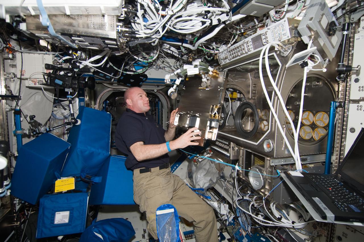 ISS030-E-155917 (16 Jan. 2012) --- European Space Agency astronaut Andre Kuipers, Expedition 30 flight engineer, prepares to place Diffusion Soret Coefficient (DSC) hardware in stowage containers in the Destiny laboratory of the International Space Station.