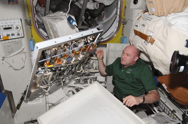 NASA image: Kuipers during photo documentation of the fluid and electrical interfaces on the UIA