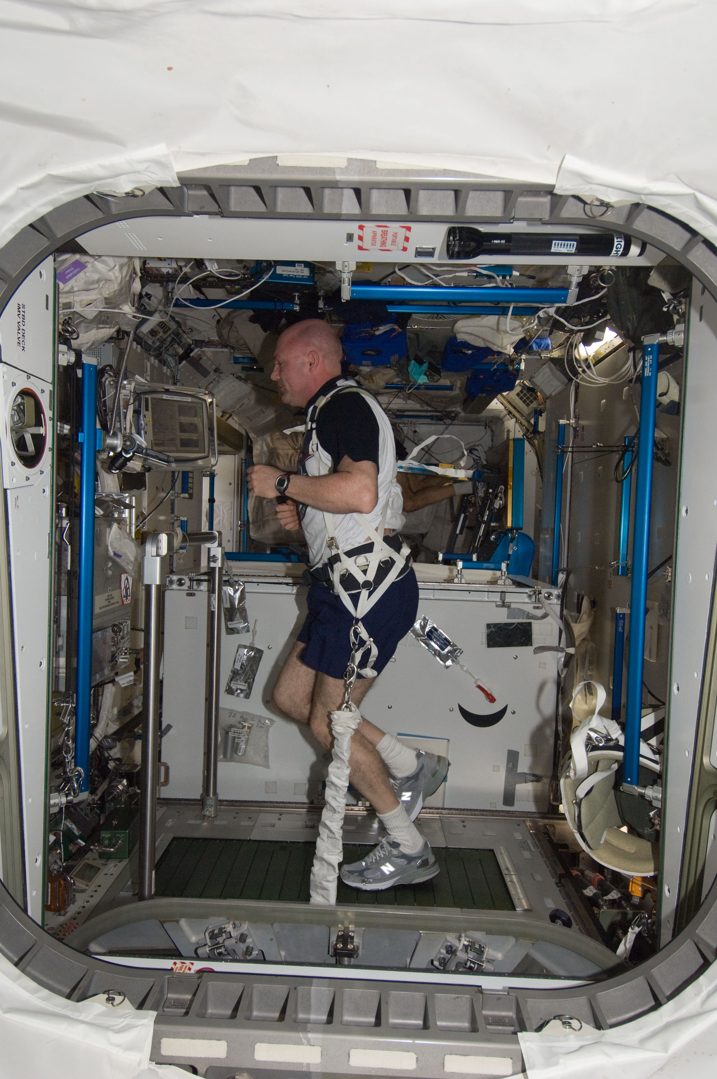 ISS030-E-210742 (3 April 2012) --- European Space Agency astronaut Andre Kuipers, Expedition 30 flight engineer, equipped with a bungee harness, exercises on the Combined Operational Load Bearing External Resistance Treadmill (COLBERT) in the Tranquility node of the International Space Station.