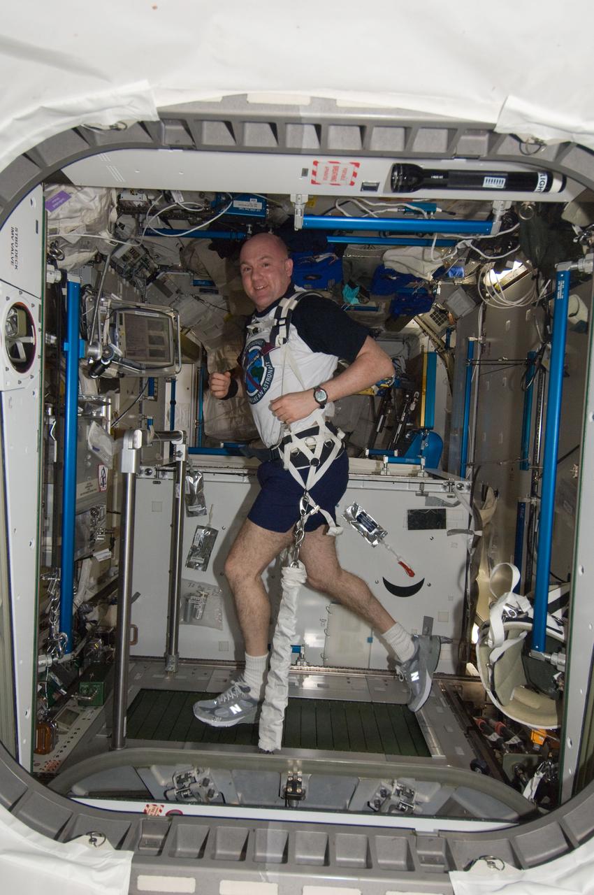 ISS030-E-210743 (3 April 2012) --- European Space Agency astronaut Andre Kuipers, Expedition 30 flight engineer, equipped with a bungee harness, exercises on the Combined Operational Load Bearing External Resistance Treadmill (COLBERT) in the Tranquility node of the International Space Station.