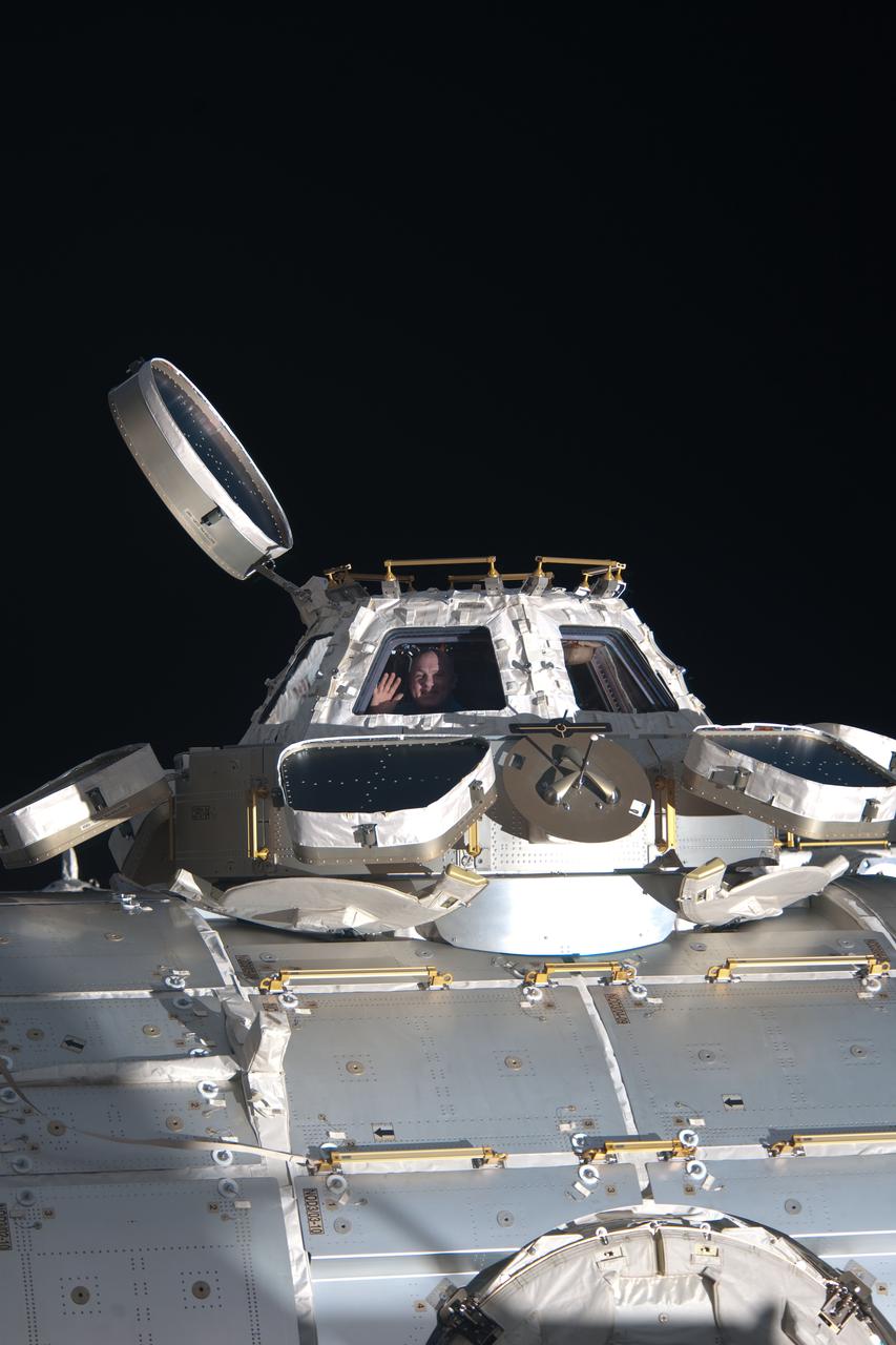 ISS030-E-270545 (21 April 2012) --- European Space Agency astronaut Andre Kuipers, Expedition 30 flight engineer, is pictured in a window of the Cupola of the International Space Station, backdropped by the blackness of space.