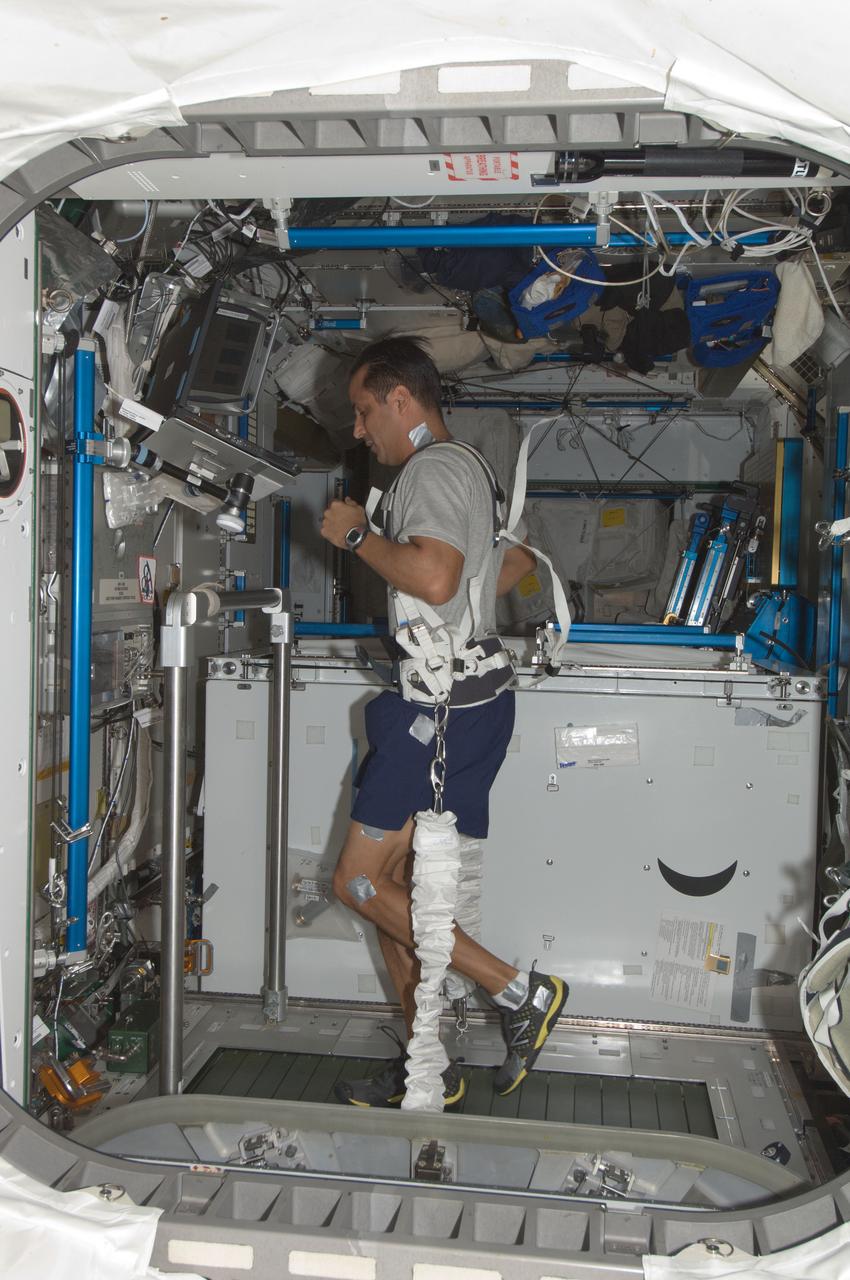 ISS031-E-081666 (31 May 2012) --- NASA astronaut Joe Acaba, Expedition 31 flight engineer, equipped with a bungee harness, exercises on the Combined Operational Load Bearing External Resistance Treadmill (COLBERT) in the Tranquility node of the International Space Station.