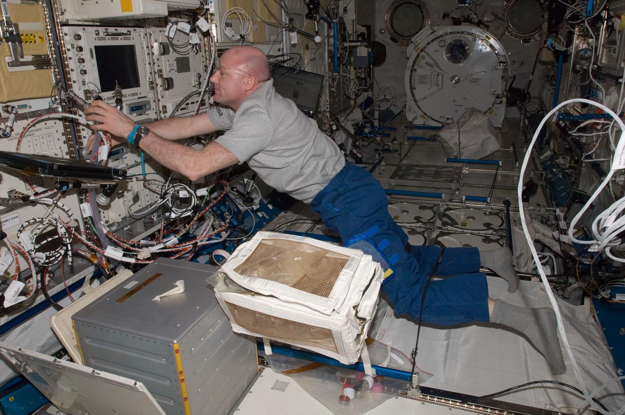 ISS031-E-140601 (1 June 2012) --- European Space Agency astronaut Andre Kuipers, Expedition 31 flight engineer, works with the Ryutai Rack in the Kibo laboratory of the International Space Station.