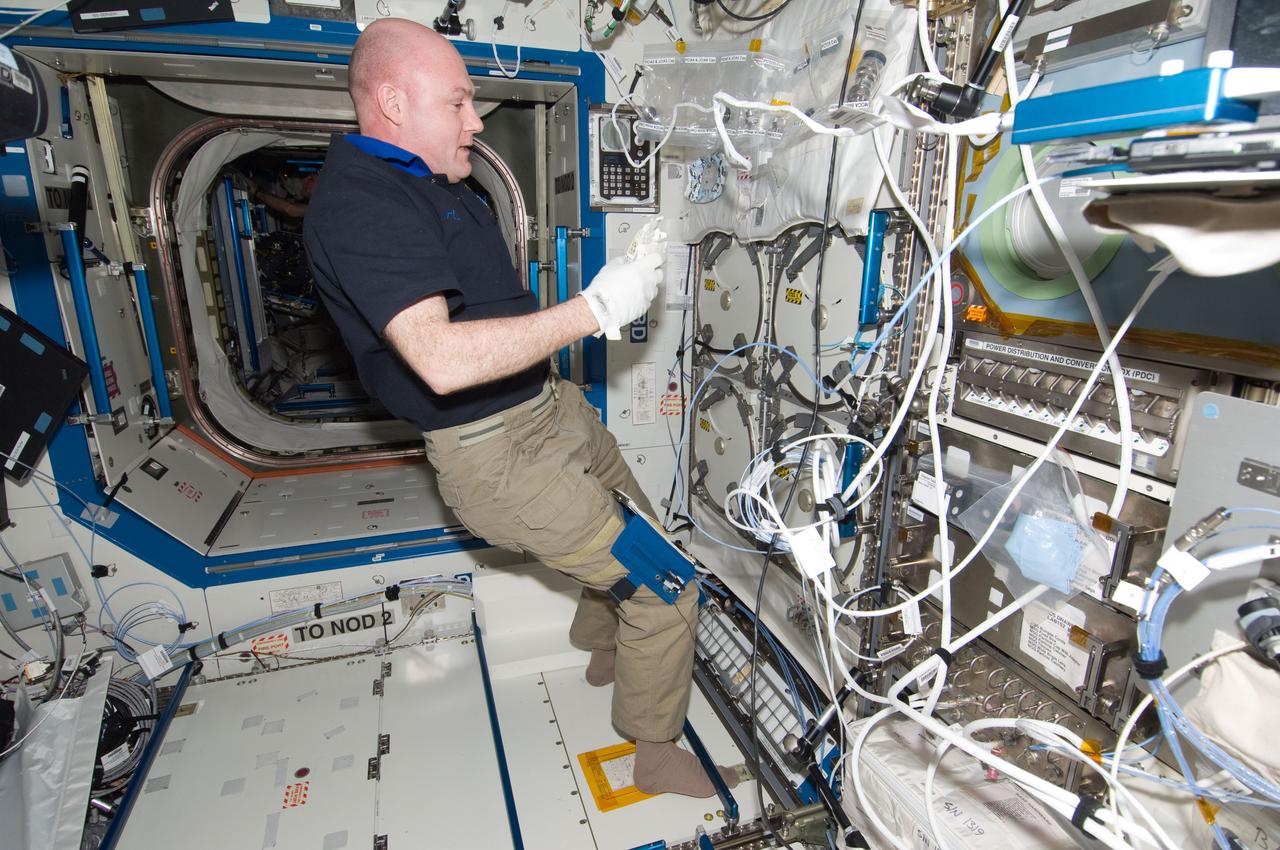 ISS031-E-143832 (25 June 2012) --- European Space Agency astronaut Andre Kuipers, Expedition 31 flight engineer, prepares to insert biological samples in the Minus Eighty Laboratory Freezer for ISS-2 (MELFI-2) in the Destiny laboratory of the International Space Station.
