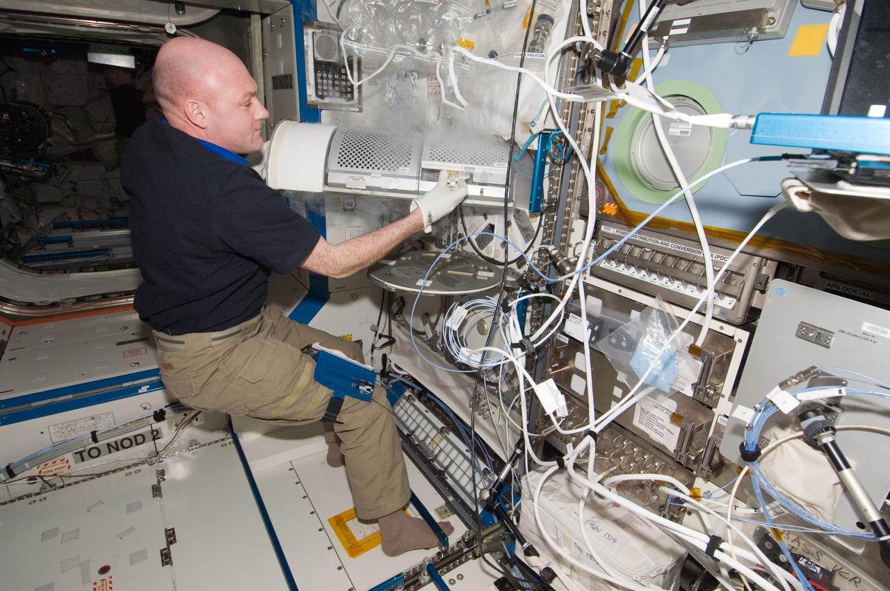 ISS031-E-143839 (25 June 2012) --- European Space Agency astronaut Andre Kuipers, Expedition 31 flight engineer, prepares to insert biological samples in the Minus Eighty Laboratory Freezer for ISS-2 (MELFI-2) in the Destiny laboratory of the International Space Station.