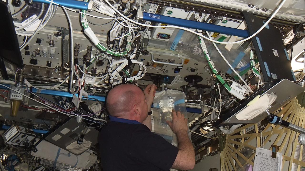 ISS031-E-157783 (15 May 2012) --- European Space Agency astronaut Andre Kuipers, Expedition 31 flight engineer, collects a water sample from the Potable Water Dispenser (PWD) in the Destiny laboratory of the International Space Station.