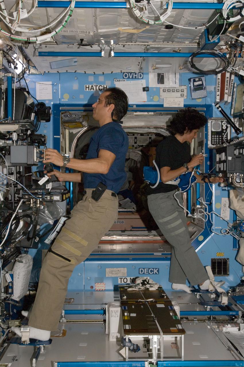 ISS032-E-008695 (20 July 2012) --- NASA astronauts Joe Acaba and Sunita Williams, both Expedition 32 flight engineers, work in the Destiny laboratory of the International Space Station.