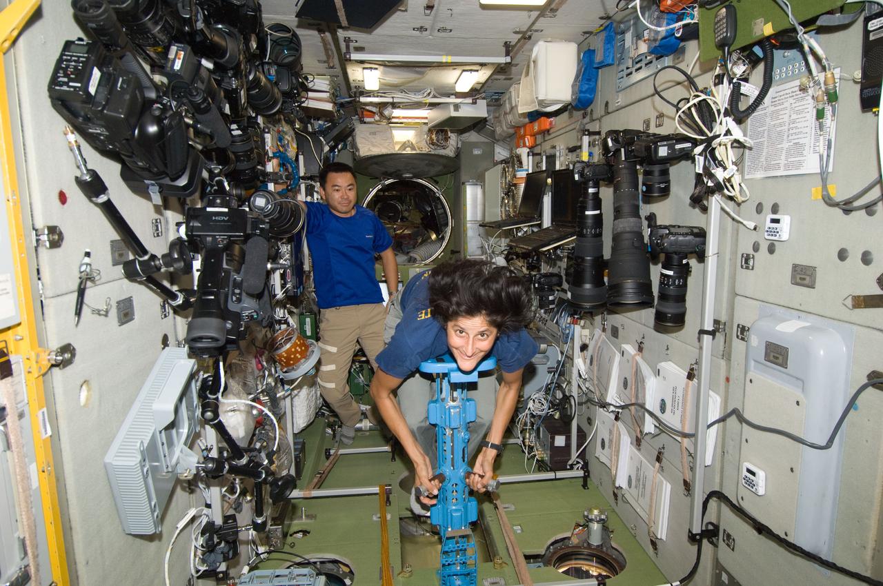 ISS032-E-010119 (27 July 2012) --- NASA astronaut Sunita Williams, Expedition 32 flight engineer, uses a body mass measurement device (BMMD) in the Zvezda Service Module of the International Space Station. Japan Aerospace Exploration Agency astronaut Aki Hoshide, flight engineer, is visible in the background.