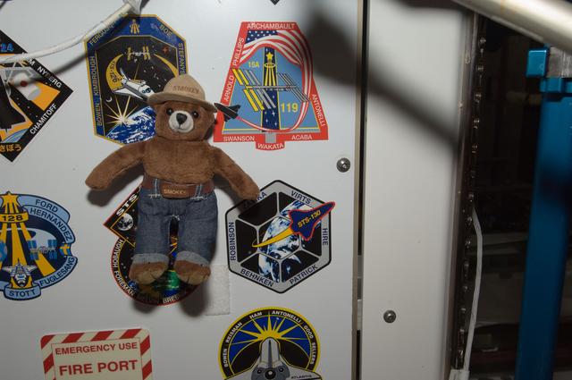 NASA image: Smokey the Bear Toy in the Node 1