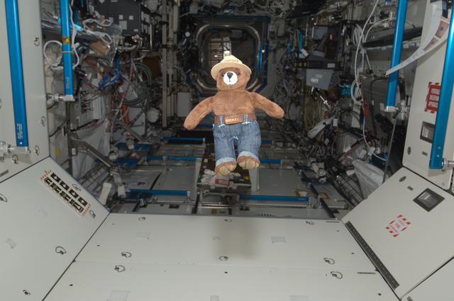 NASA image: Smokey the Bear Toy floating in the Node 1