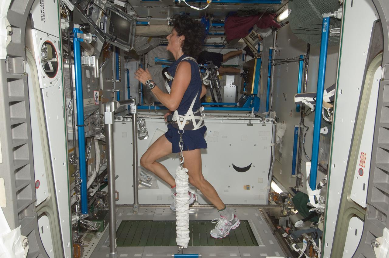 ISS032-E-011700 (4 Aug. 2012) --- NASA astronaut Sunita Williams, Expedition 32 flight engineer, equipped with a bungee harness, exercises on the Combined Operational Load Bearing External Resistance Treadmill (COLBERT) in the Tranquility node of the International Space Station.