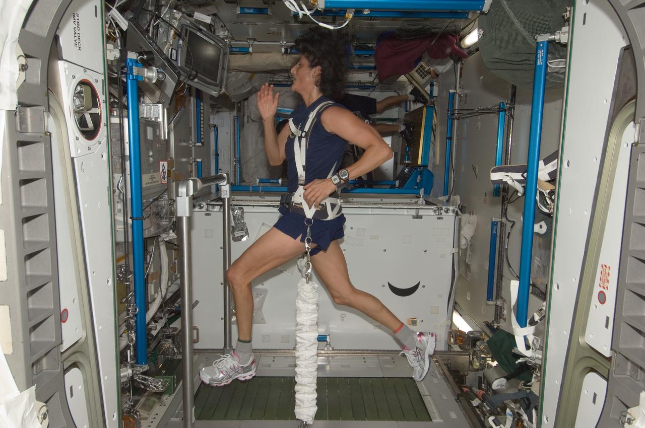 ISS032-E-011701 (4 Aug. 2012) --- NASA astronaut Sunita Williams, Expedition 32 flight engineer, equipped with a bungee harness, exercises on the Combined Operational Load Bearing External Resistance Treadmill (COLBERT) in the Tranquility node of the International Space Station.