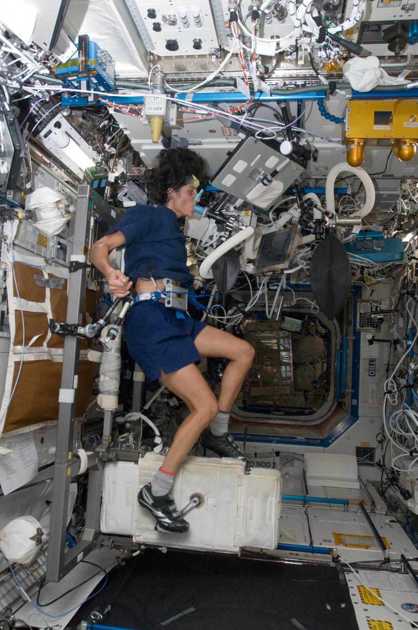 ISS032-E-016876 (8 Aug. 2012) --- NASA astronaut Sunita Williams, Expedition 32 flight engineer, performs a VO2max experiment while using the Cycle Ergometer with Vibration Isolation System (CEVIS) in the Destiny laboratory of the International Space Station. VO2max uses the Portable Pulmonary Function System (PPFS), CEVIS, Pulmonary Function System (PFS) gas cylinders and mixing bag system, plus multiple other pieces of hardware to measure oxygen uptake and cardiac output.