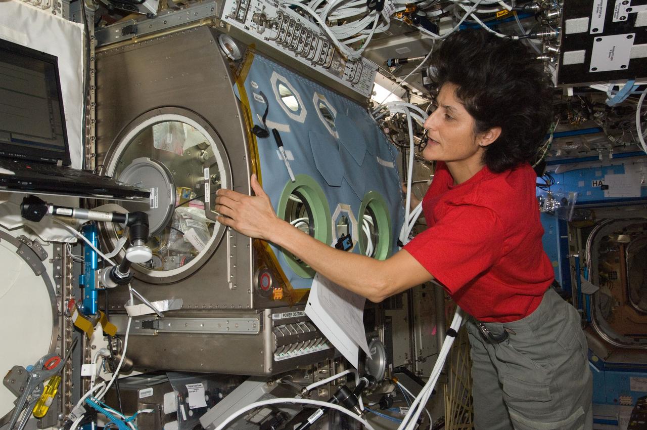 ISS032-E-022628 (23 Aug. 2012) --- NASA astronaut Sunita Williams, Expedition 32 flight engineer, works at the Microgravity Science Glovebox (MSG) in the Destiny laboratory of the International Space Station.