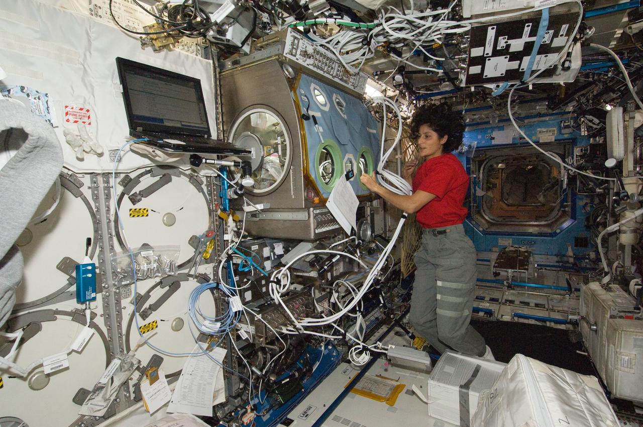 ISS032-E-022630 (23 Aug. 2012) --- NASA astronaut Sunita Williams, Expedition 32 flight engineer, works at the Microgravity Science Glovebox (MSG) in the Destiny laboratory of the International Space Station.