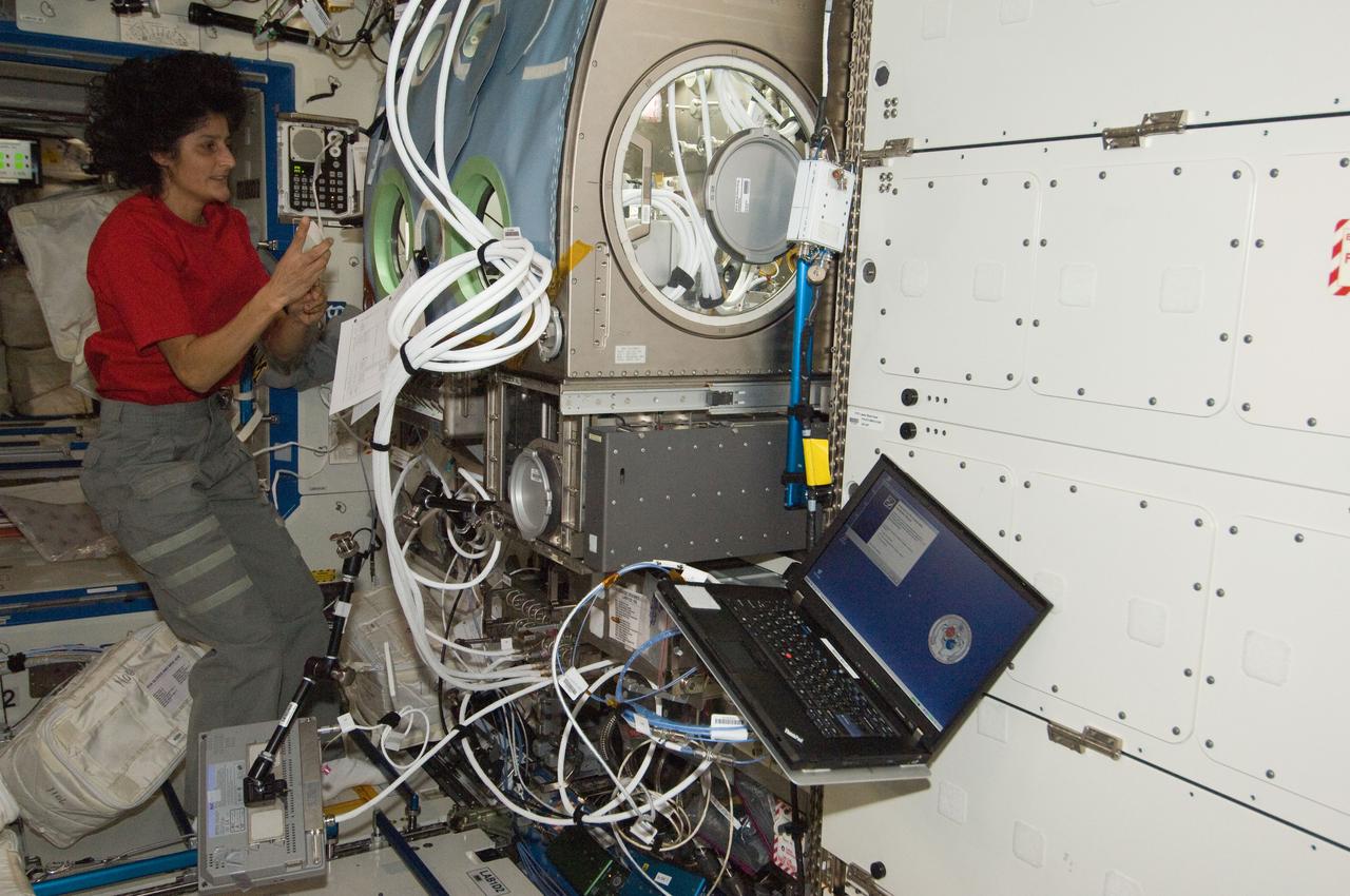 ISS032-E-022637 (23 Aug. 2012) --- NASA astronaut Sunita Williams, Expedition 32 flight engineer, works at the Microgravity Science Glovebox (MSG) in the Destiny laboratory of the International Space Station.