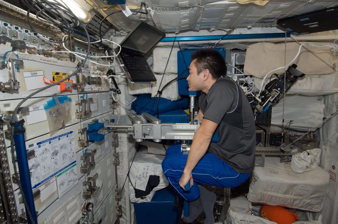 ISS032-E-024283 (26 Aug. 2012) --- Japan Aerospace Exploration Agency astronaut Aki Hoshide, Expedition 32 flight engineer, uses the Space Linear Acceleration Mass Measurement Device (SLAMMD) in the Columbus laboratory of the International Space Station.