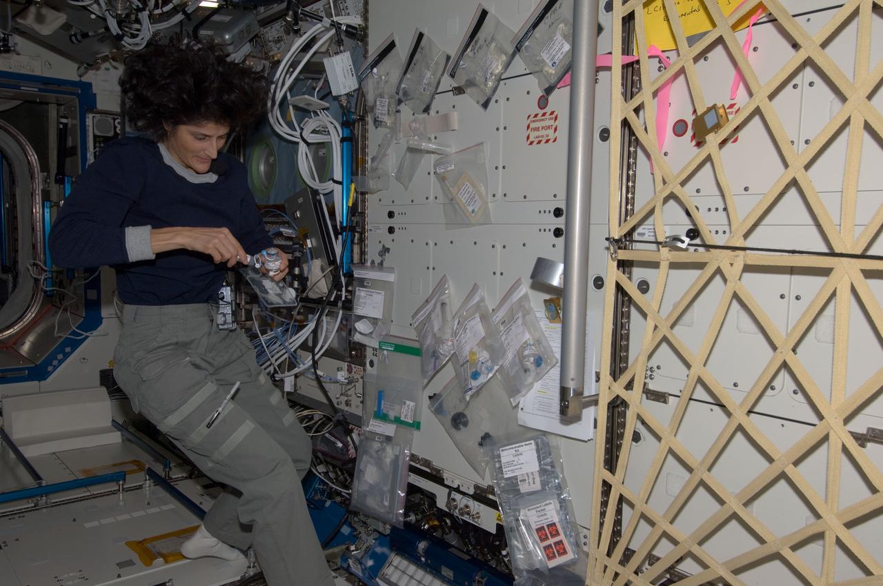 ISS032-E-026722 (11 Sept. 2012) --- NASA astronaut Sunita Williams, Expedition 32 flight engineer, works with a microbial analysis kit in the Destiny laboratory of the International Space Station.