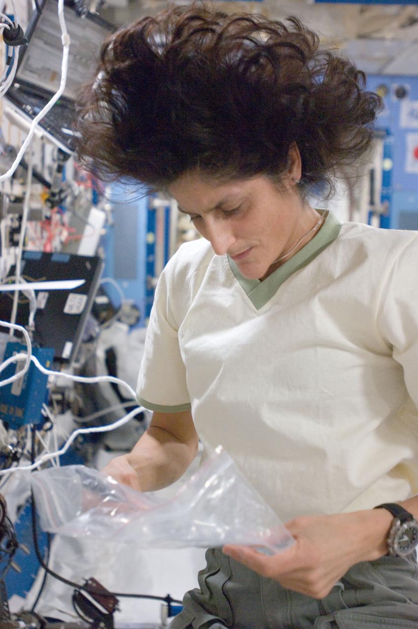 ISS033-E-011683 (12 Oct. 2012) --- NASA astronaut Sunita Williams, Expedition 33 commander, holds a plastic storage bag as she prepares to service the NanoRacks Module 9 payload in the Kibo laboratory of the International Space Station.