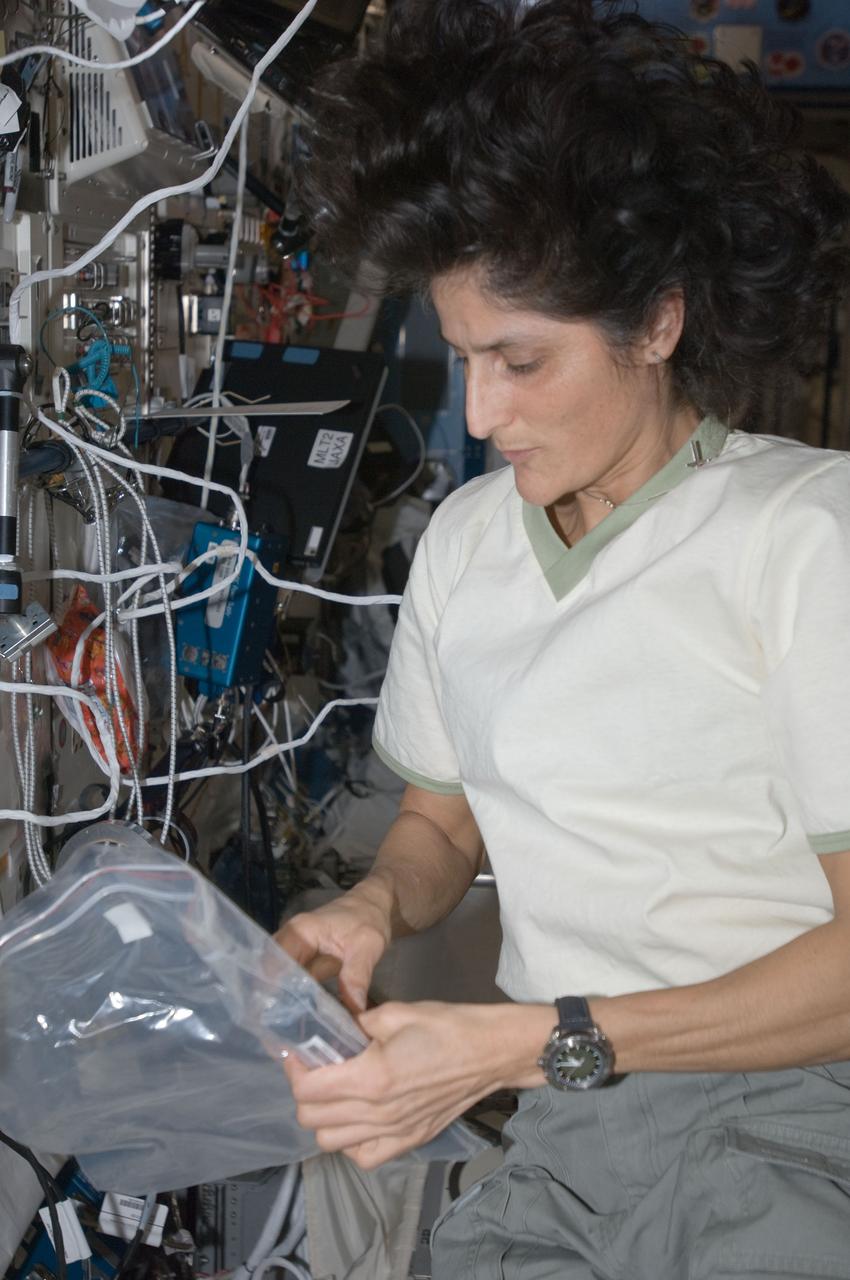 ISS033-E-011684 (12 Oct. 2012) --- NASA astronaut Sunita Williams, Expedition 33 commander, holds a plastic storage bag as she prepares to service the NanoRacks Module 9 payload in the Kibo laboratory of the International Space Station.