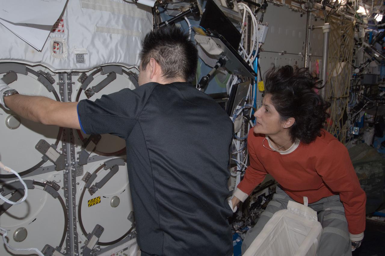 ISS033-E-016181 (26 Oct. 2012) --- NASA astronaut Sunita Williams, Expedition 33 commander; and Japan Aerospace Exploration Agency astronaut Aki Hoshide, flight engineer, prepare to service the Minus Eighty Laboratory Freezer for ISS-2 (MELFI-2) in the Destiny laboratory of the International Space Station.