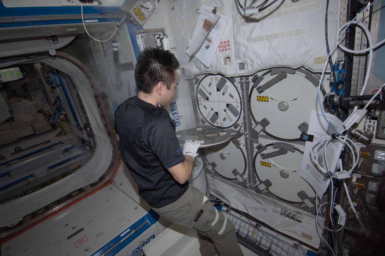 ISS033-E-016196 (26 Oct. 2012) --- Japan Aerospace Exploration Agency astronaut Aki Hoshide, Expedition 33 flight engineer, closes a dewar cover after servicing the Minus Eighty Laboratory Freezer for ISS-2 (MELFI-2) in the Destiny laboratory of the International Space Station.
