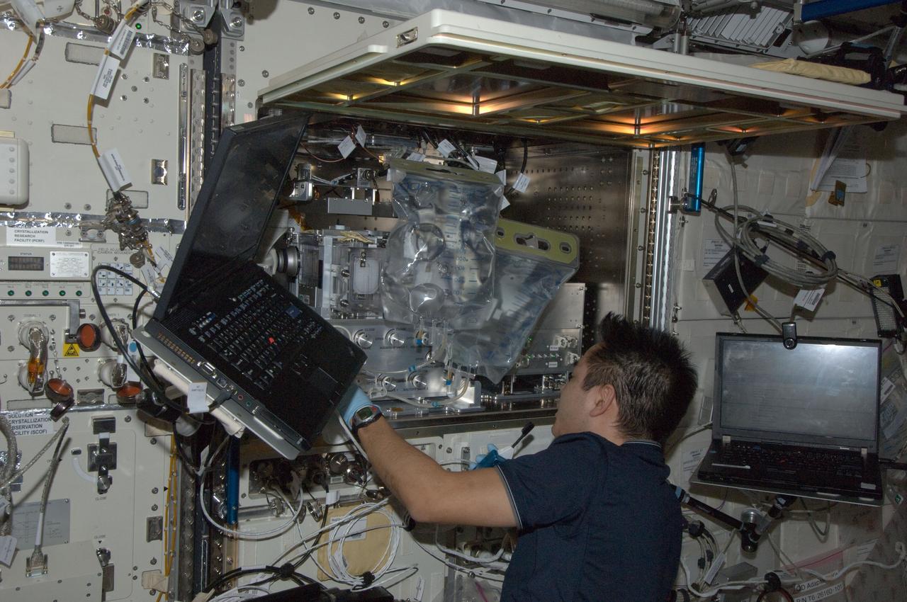 ISS033-E-016602 (24 Oct. 2012) --- In the International Space Station’s Kibo laboratory, Japan Aerospace Exploration Agency astronaut Aki Hoshide, Expedition 33 flight engineer, works on the Multipurpose Small Payload Rack (MSPR) in preparation for the arrival of the JAXA Medaka Osteoclast (MOST) payload which will arrive on the Soyuz TMA-06M spacecraft on Oct. 25.