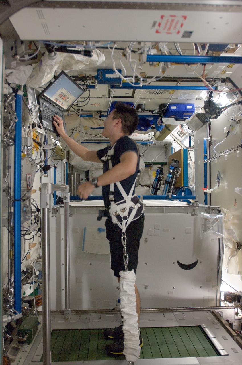 ISS033-E-018848 (12 Nov. 2012) --- Japan Aerospace Exploration Agency astronaut Aki Hoshide, Expedition 33 flight engineer, equipped with a bungee harness, prepares to exercise on the Combined Operational Load Bearing External Resistance Treadmill (COLBERT) in the Tranquility node of the International Space Station.