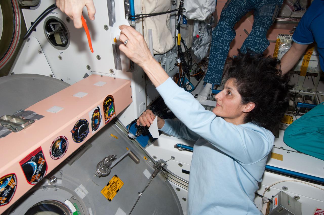 ISS033-E-022048 (17 Nov. 2012) --- In the Unity node, NASA astronaut Sunita Williams, Expedition 33 commander, prepares to add the Expedition 33 patch to the growing collection of insignias representing crews who have worked on the International Space Station, following the ceremony of Changing-of-Command from Expedition 33 to Expedition 34.