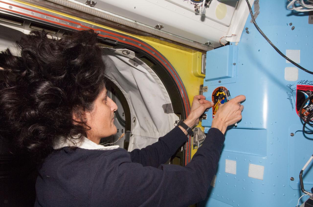 ISS033-E-022110 (18 Nov. 2012) --- NASA astronaut Sunita Williams, Expedition 33 commander, adds the Expedition 32 patch to the growing collection of insignias representing crews who performed spacewalks from the Quest airlock of the International Space Station.