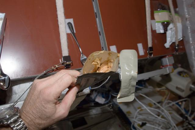 NASA image: Open Food Packet