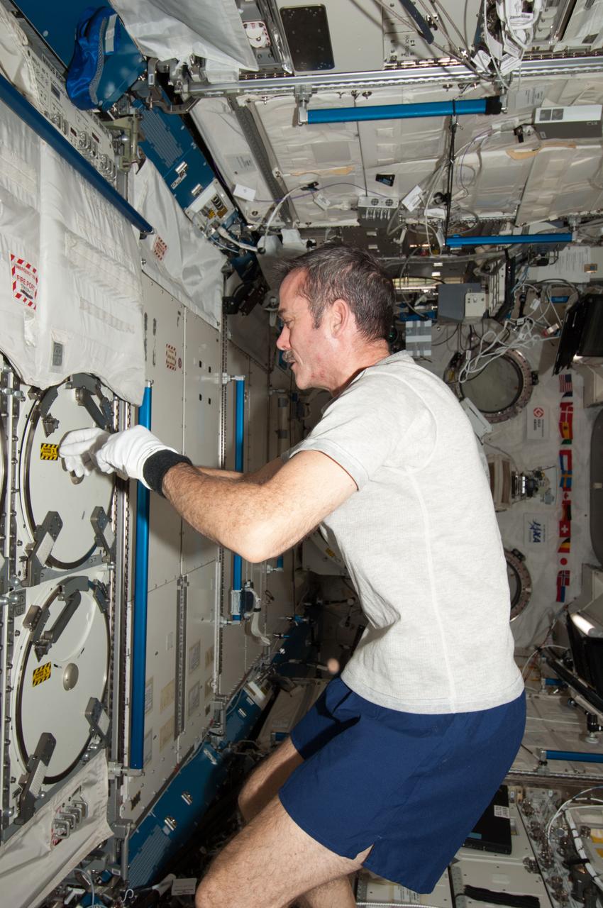 ISS034-E-023768 (7 Jan. 2013) --- Canadian Space Agency astronaut Chris Hadfield, Expedition 34 flight engineer, prepares to insert biological samples in the Minus Eighty Laboratory Freezer for ISS (MELFI-1) in the Kibo laboratory of the International Space Station.