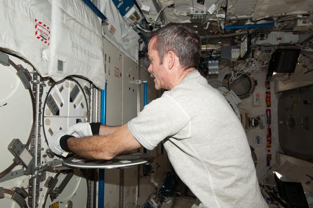 NASA image: Hadfield prepares to insert biological samples in the MELFI-1