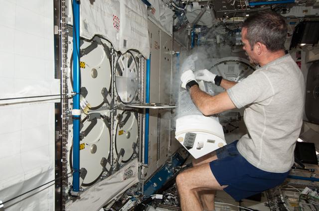 NASA image: Hadfield prepares to insert biological samples in the MELFI-1