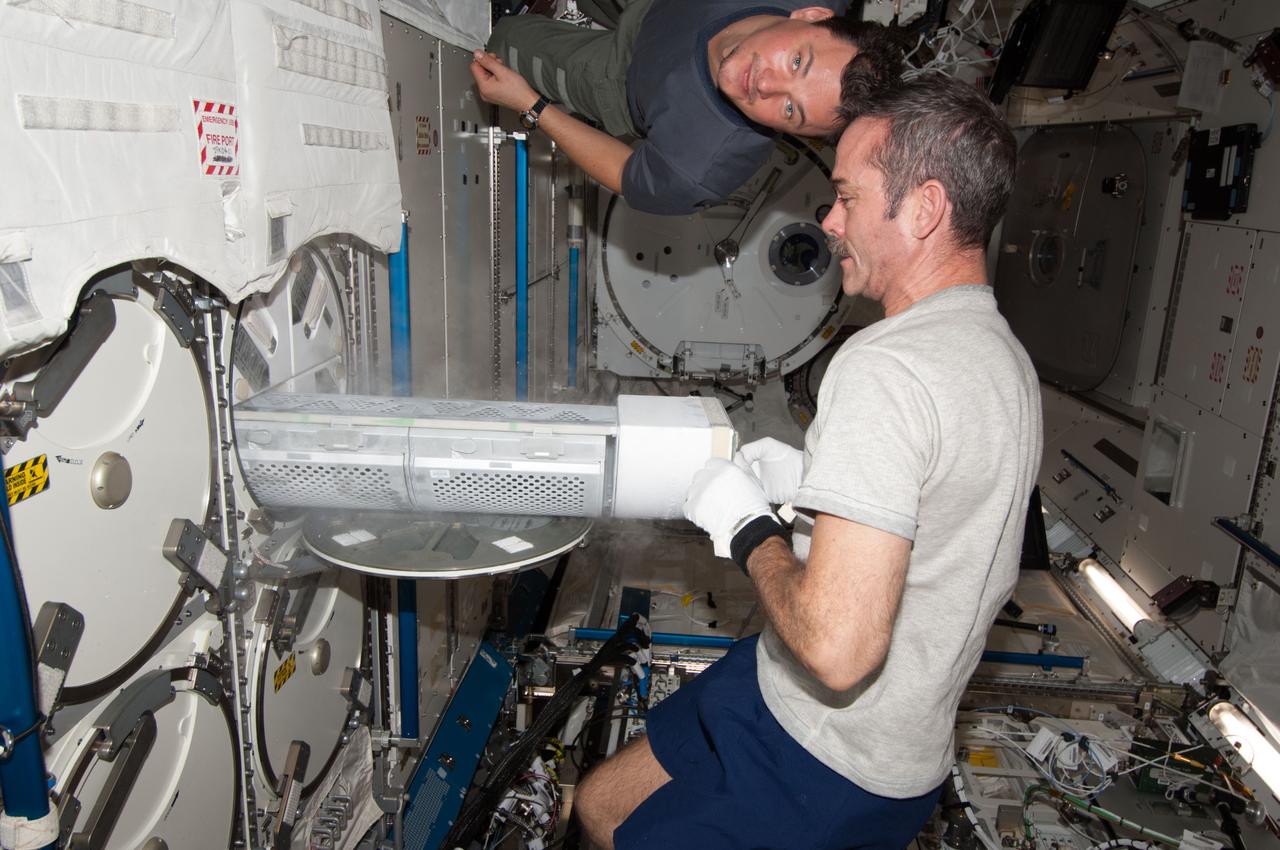 ISS034-E-023786 (7 Jan. 2013) --- Canadian Space Agency astronaut Chris Hadfield, Expedition 34 flight engineer, prepares to insert biological samples in the Minus Eighty Laboratory Freezer for ISS (MELFI-1) in the Kibo laboratory of the International Space Station. Russian cosmonaut Roman Romanenko, flight engineer, is visible near Hadfield.
