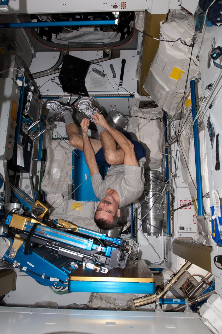 View of Canadian Space Agency (CSA) Chris Hadfield,Expedition 34 Flight Engineer (FE),putting on tennis shoes,in the Node 3.