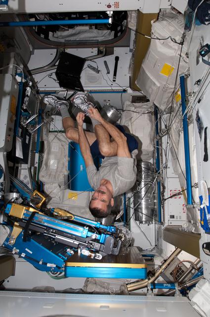 NASA image: Hadfield in the Node 3