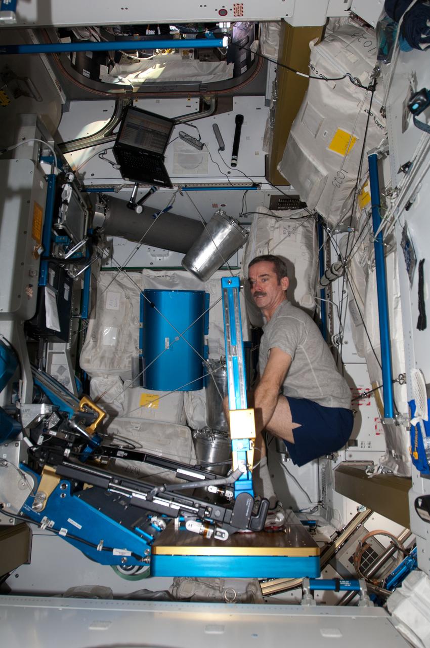 ISS034-E-026550 (11 Jan. 2013) --- Canadian Space Agency astronaut Chris Hadfield, Expedition 34 flight engineer, uses the advanced Resistive Exercise Device (aRED) to exercise in the Tranquility node of the International Space Station.