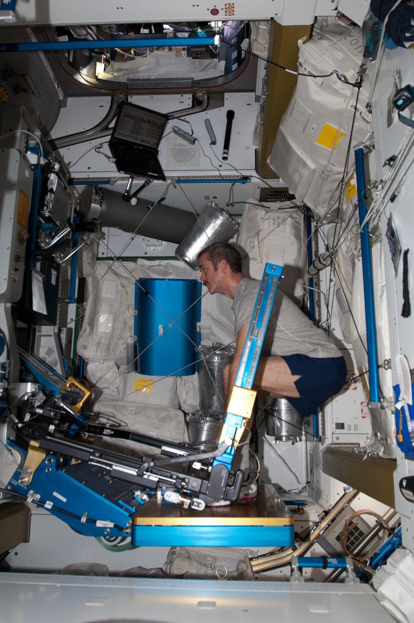 View of Canadian Space Agency (CSA) Chris Hadfield,Expedition 34 Flight Engineer (FE),exercising on the Advanced Resistive Exercise Device (ARED),in the Node 3. Photo was taken during Expedition 34.