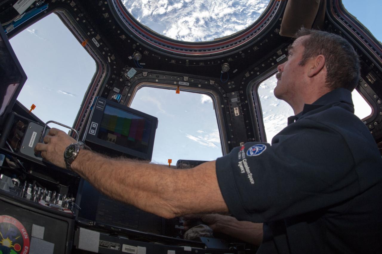ISS034-E-027319 (10 Jan. 2013) --- Canadian Space Agency astronaut Chris Hadfield, Expedition 34 flight engineer, looks through windows while working controls at a robotic workstation in the Cupola of the International Space Station.