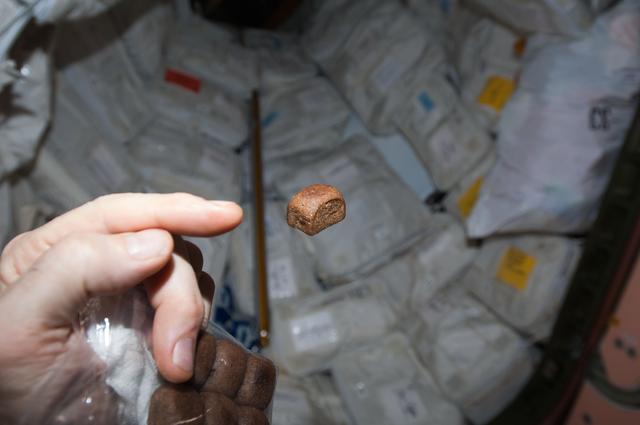 NASA image: Miniature bread floating in the Node 1
